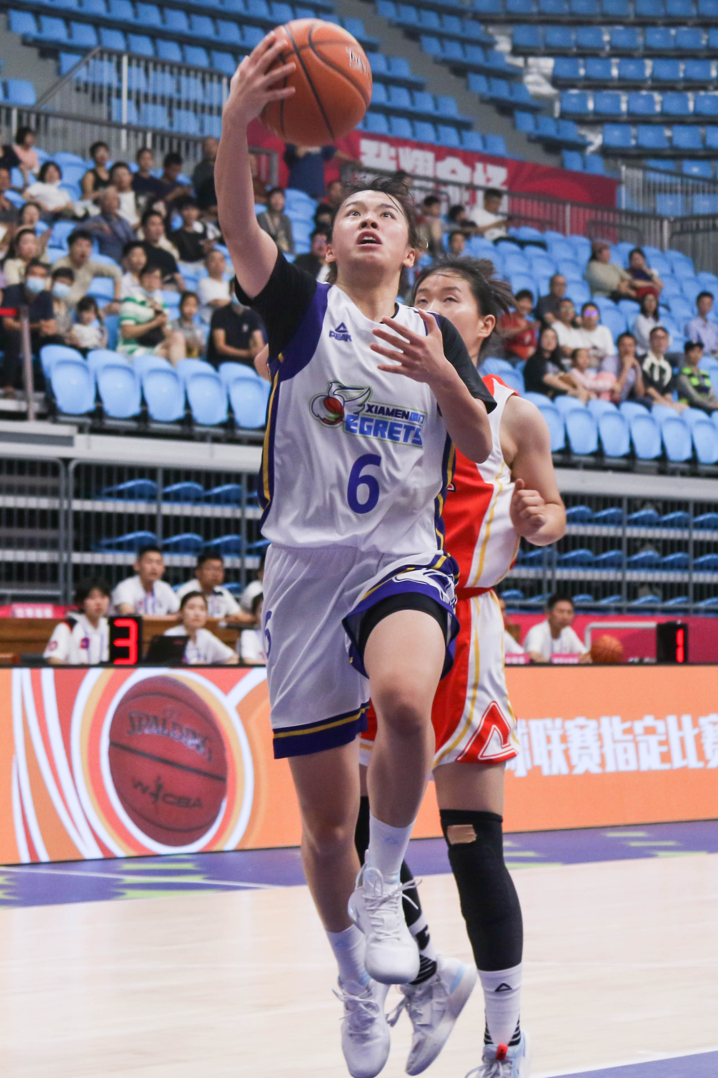 开云下载-包含女篮Al泛美杯：巴西队憾失冠军，屈居亚军的词条