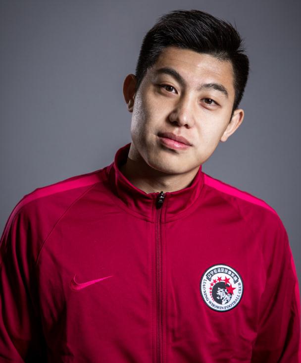 包含德国乒乓球队逆转韩国乒乓球队，王皓惊艳世界的词条