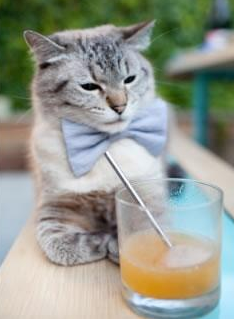 开云体育登录-深圳绝杀引爆平行宇宙！马克西45分狂潮见证NBA新王崛起？