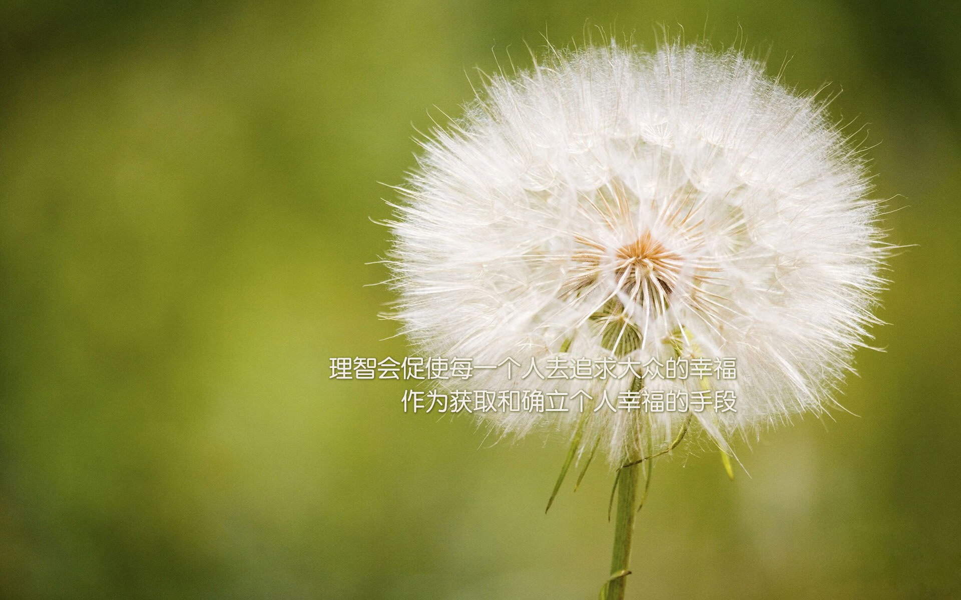 开云体育下载-黑马奔腾！活塞下克上淘汰雷霆，切特末节19分化身关键先生