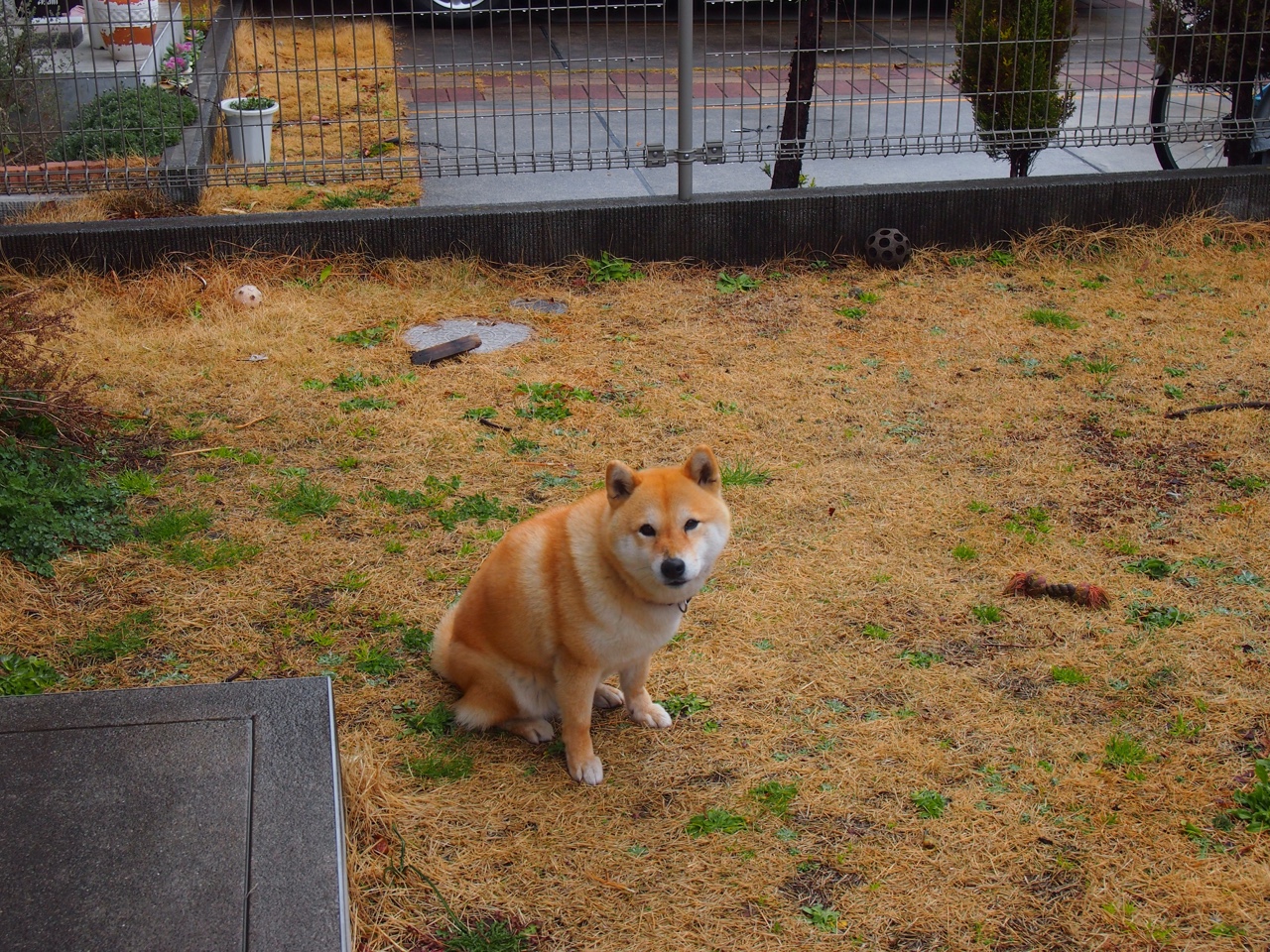 开云体育入口-弗拉霍维奇冠军级表现定乾坤，芬兰与罗马激战展足球魅力