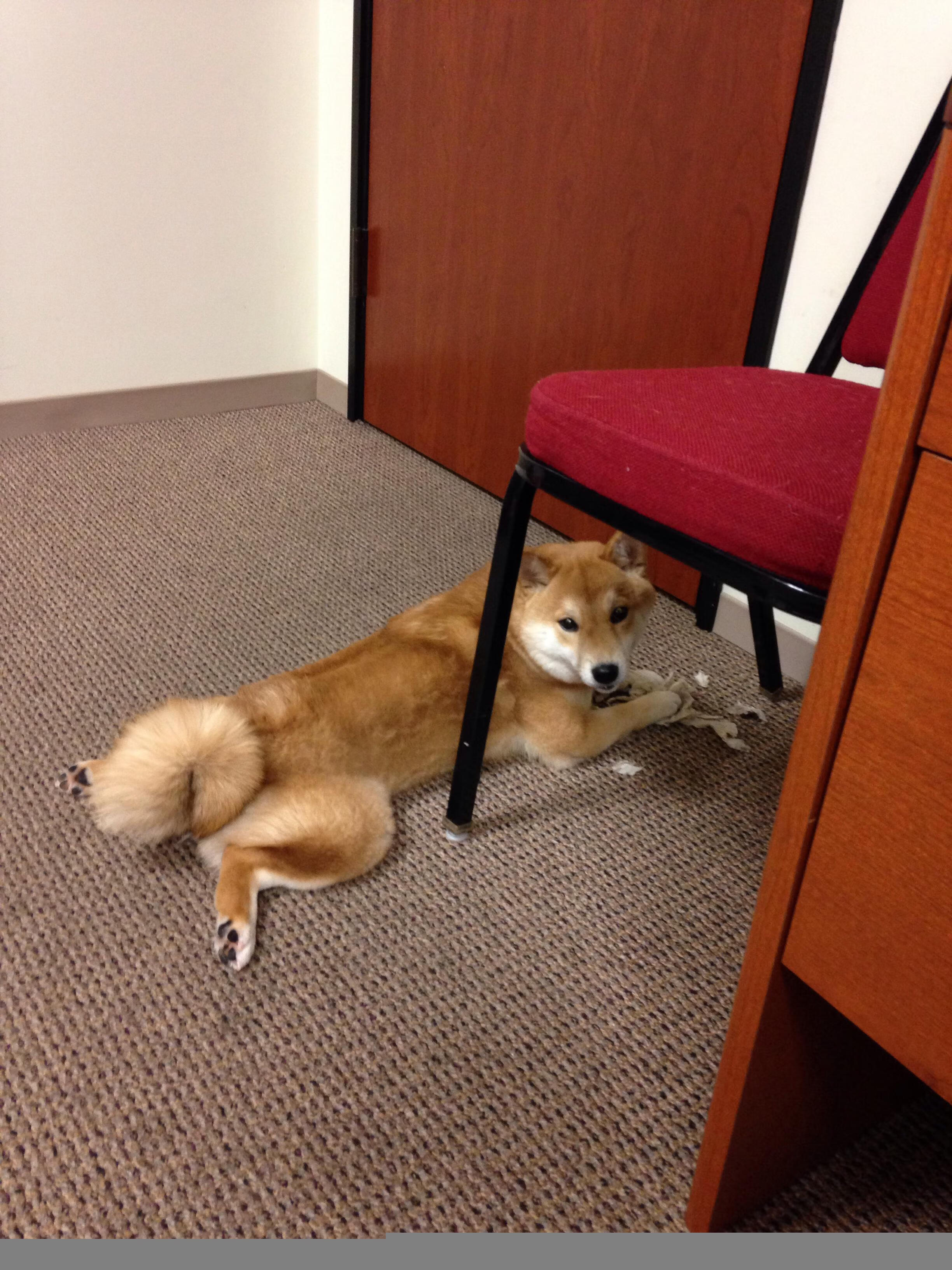 开云下载-梅开二度点燃全场，爆冷狂胜震动欧陆，足球之夜的冰与火之歌