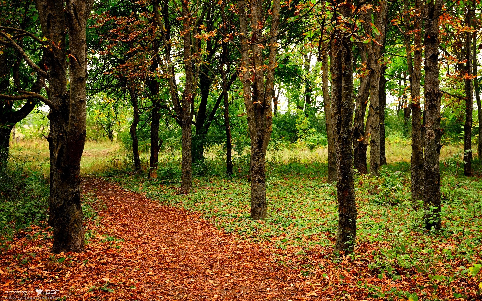 硬仗中的神兵，卡瓦哈尔爆发助奥地利击碎土耳其坚壁