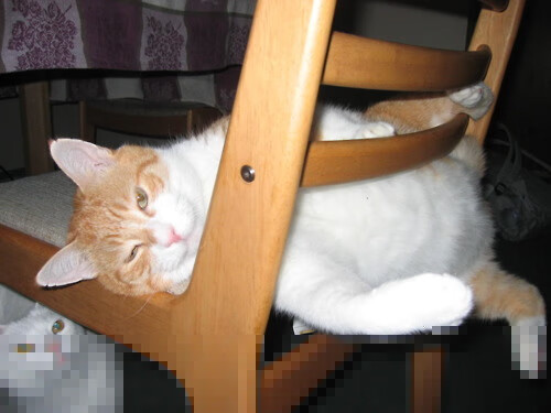 开云体育在线-雷霆争冠战力克活塞，保罗欧冠淘汰赛独揽乾坤