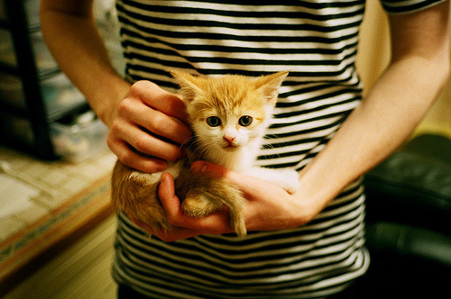 钢枪诗人，萨内东决夜以沉默的枪火改写历史