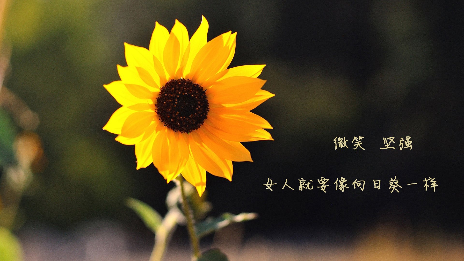 开云体育中国-新疆队单节发力拉开山西队，詹姆斯关键时刻挺身而出