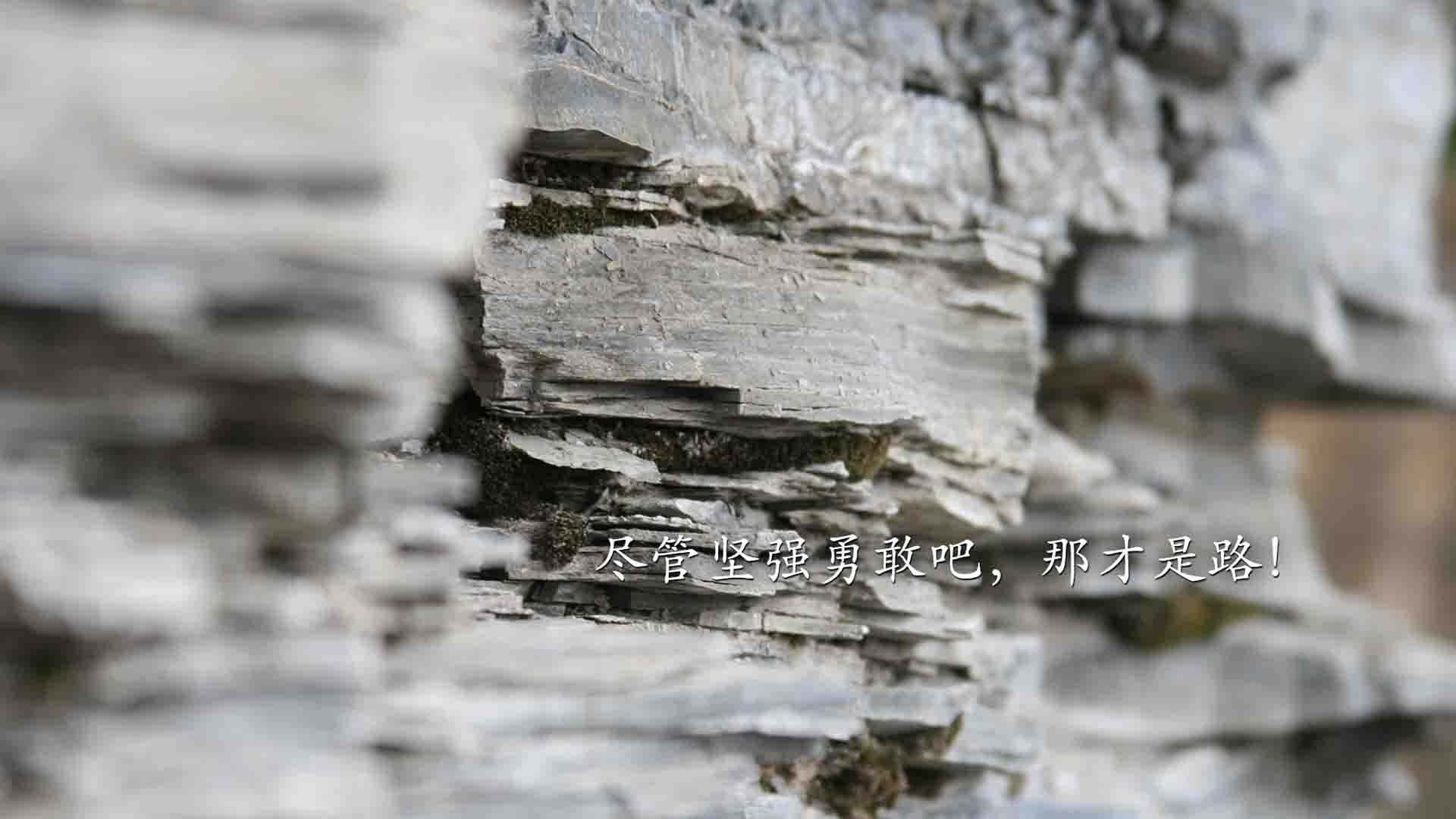开云体育在线-硝烟弥漫的强者对话，比利时险胜克罗地亚，哈基米以速度与激情闪耀2026世界杯E组
